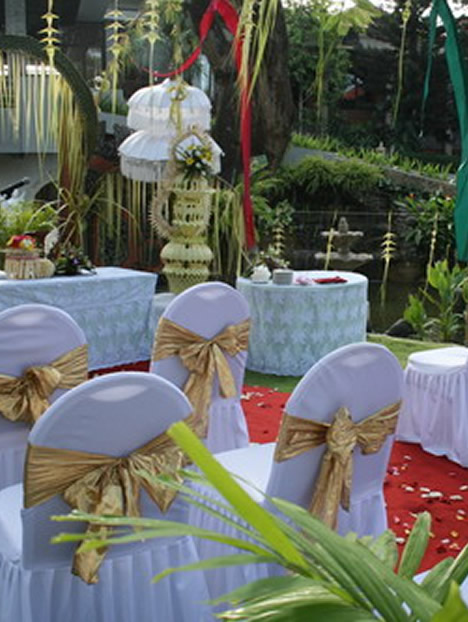 bali dynasty